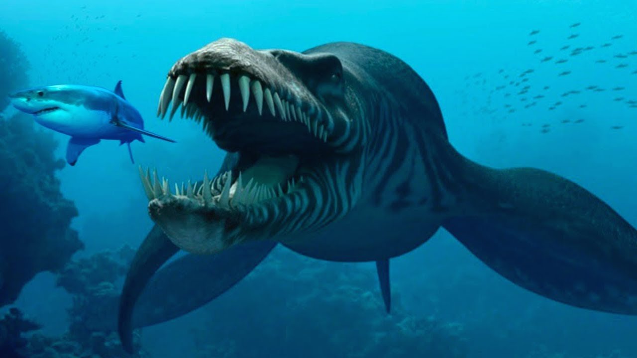 The Mysterious Animal That Wandered Our Seas 500 Million Years Ago