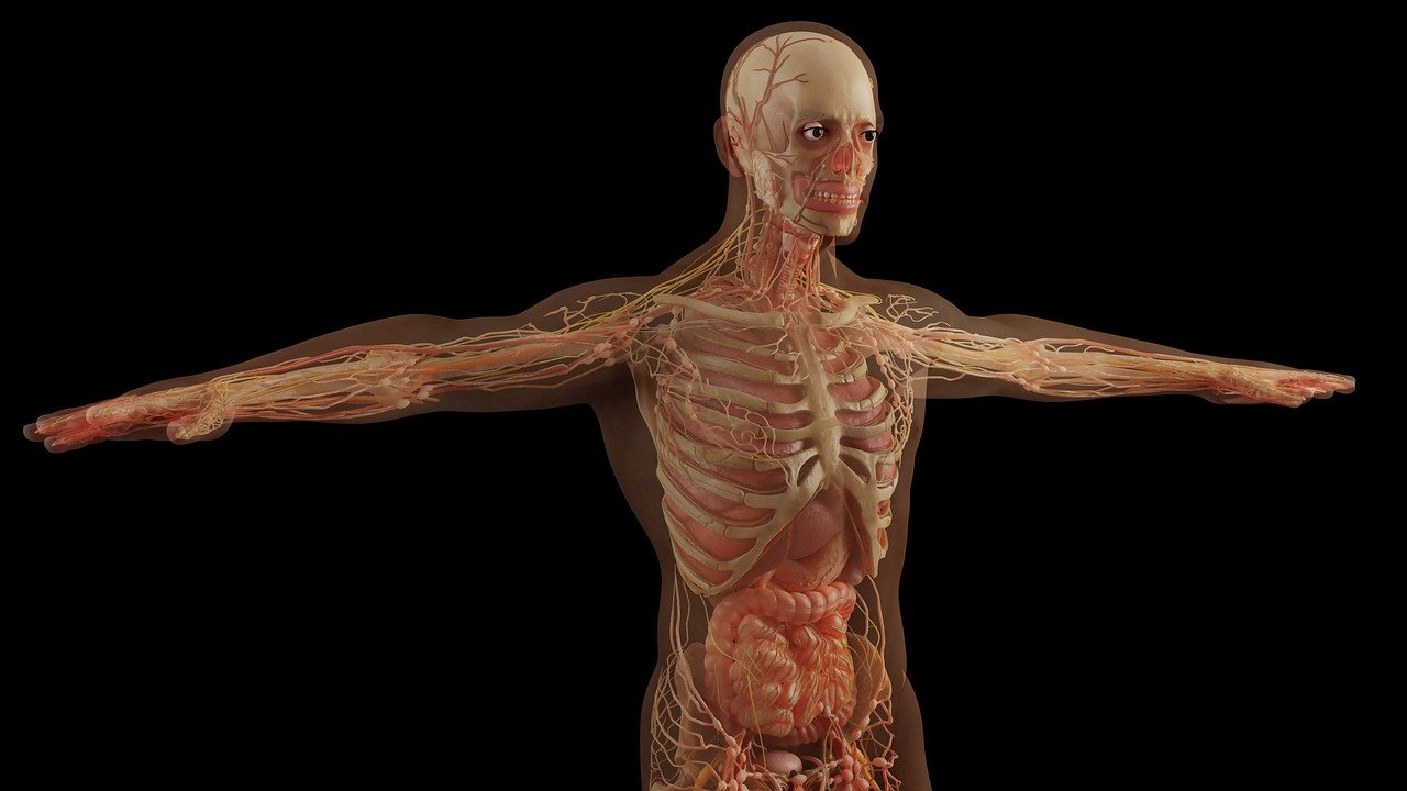 30 Odd & Interesting Facts About The Human Body Thirty