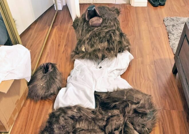 According to officials, people in bear suits attack cars in order to file insurance claims.