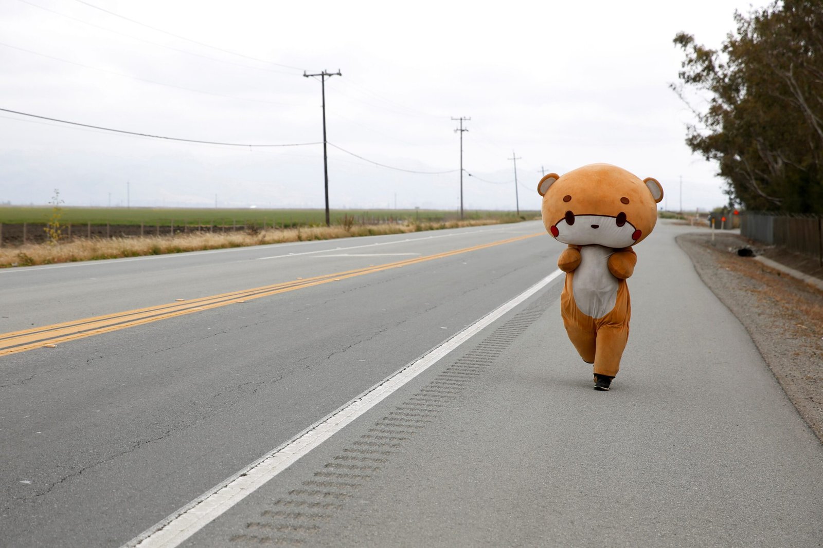 Meet the bear-suit-wearing man who is making his way from Los Angeles to San Francisco.